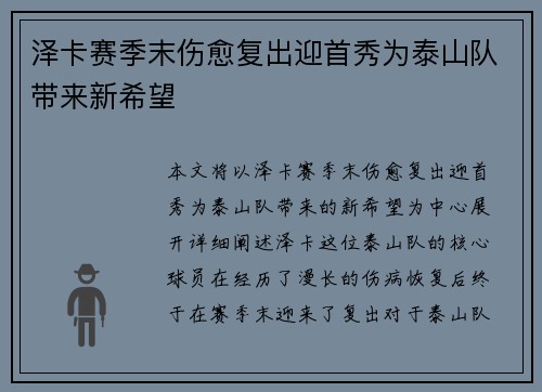 泽卡赛季末伤愈复出迎首秀为泰山队带来新希望